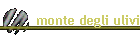 monte degli ulivi