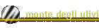 monte degli ulivi
